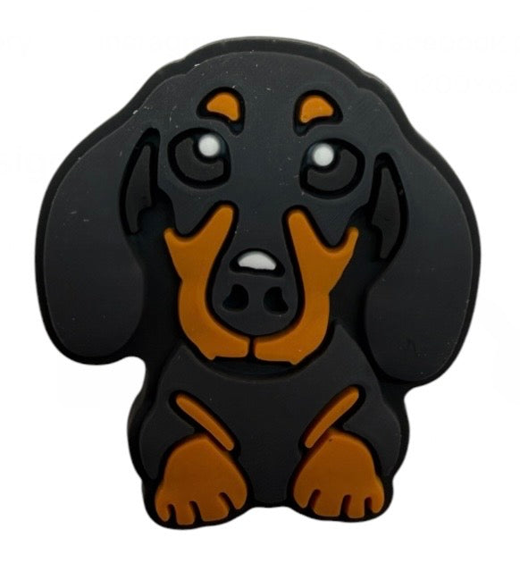 Dog - Dachshund