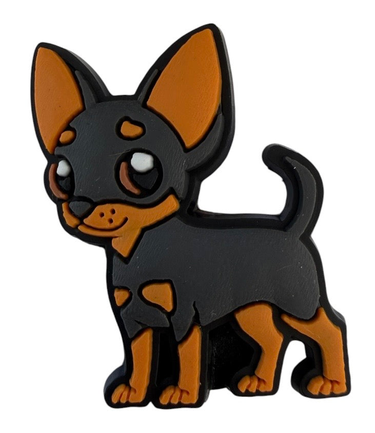 Dog - Chihuahua