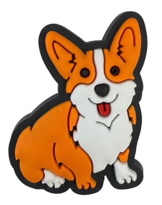 Corgi | Dog