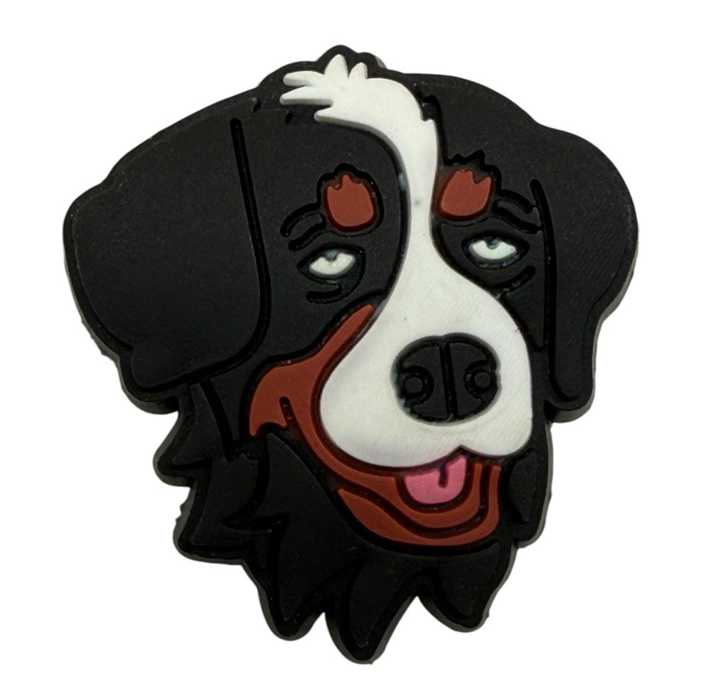 Bernese Mountain Dog